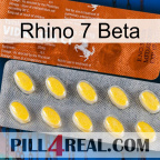Rhino 7 Beta 42